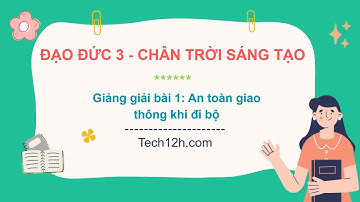 Giảng bài 1: An toàn giao thông khi đi bộ | Đạo đức 3 Chân trời sáng tạo