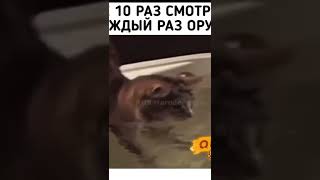 Опляя)😁