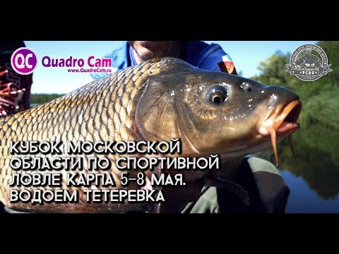 Кубок Московской Области по спортивной ловле карпа 2018. Водоем Тетеревка