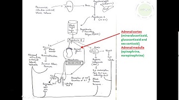CSIR-UGC-NET-JRF_DEC 2018
