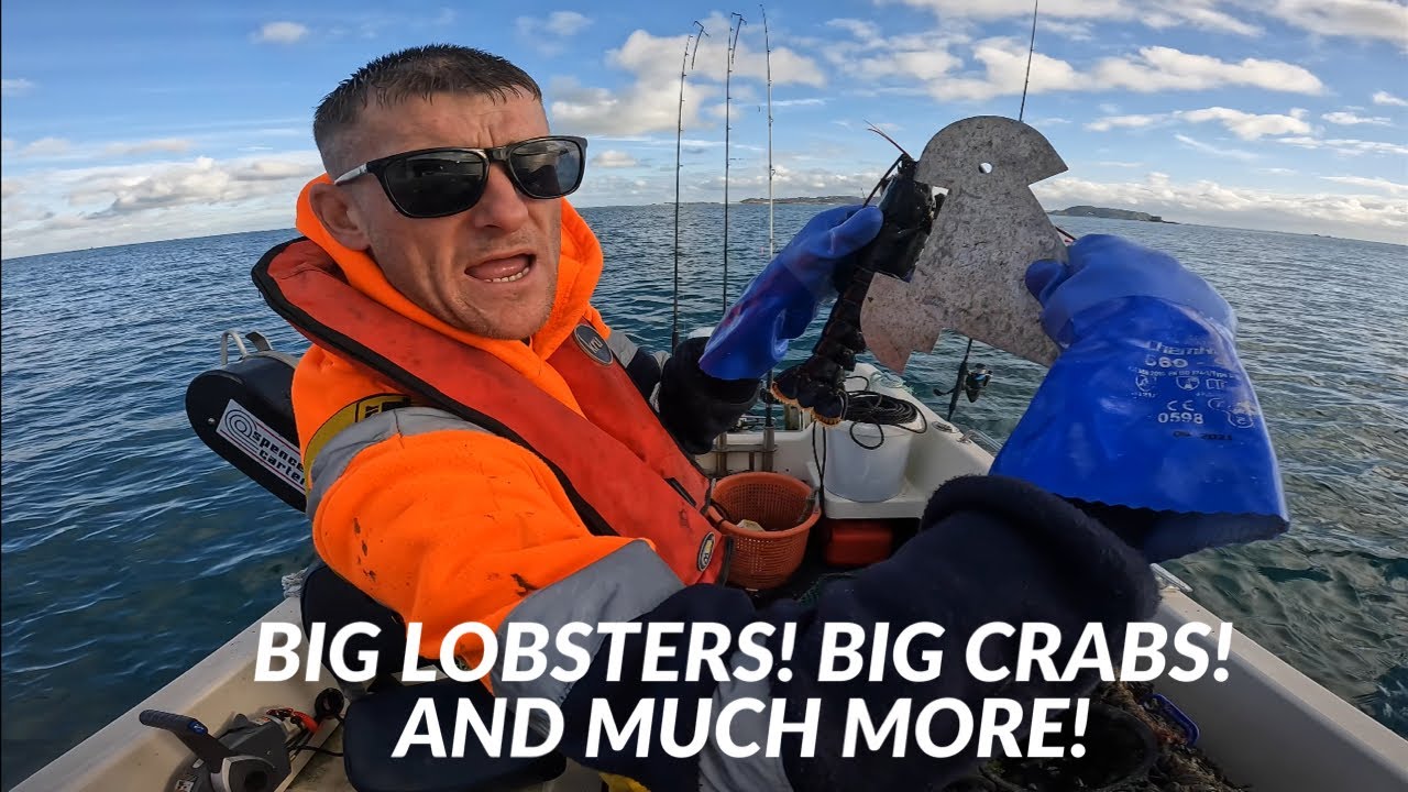 BIG Lobsters And BIG Brown Crabs In The TRAPS! Plus A Unusual Fish Gets