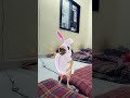 #reelschallenge