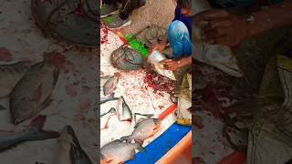 Wow!! Nani fish cutting skills in india 😱🇮🇳 local market 😱#shorts