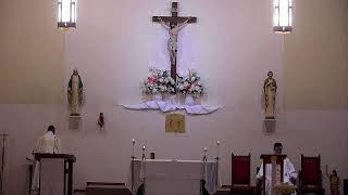 The 11th Sunday of Ordinary Time- Year A (11:30 am)