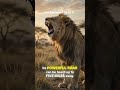 🦁 Lion – King of the Wild | Amazing Lion Facts You Didn't Know! #Shorts kangal dog tiger frag