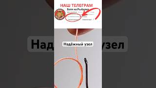 Надёжный узел для рыбалки#рыбалка#клев#улов#трофей#узел#крючок