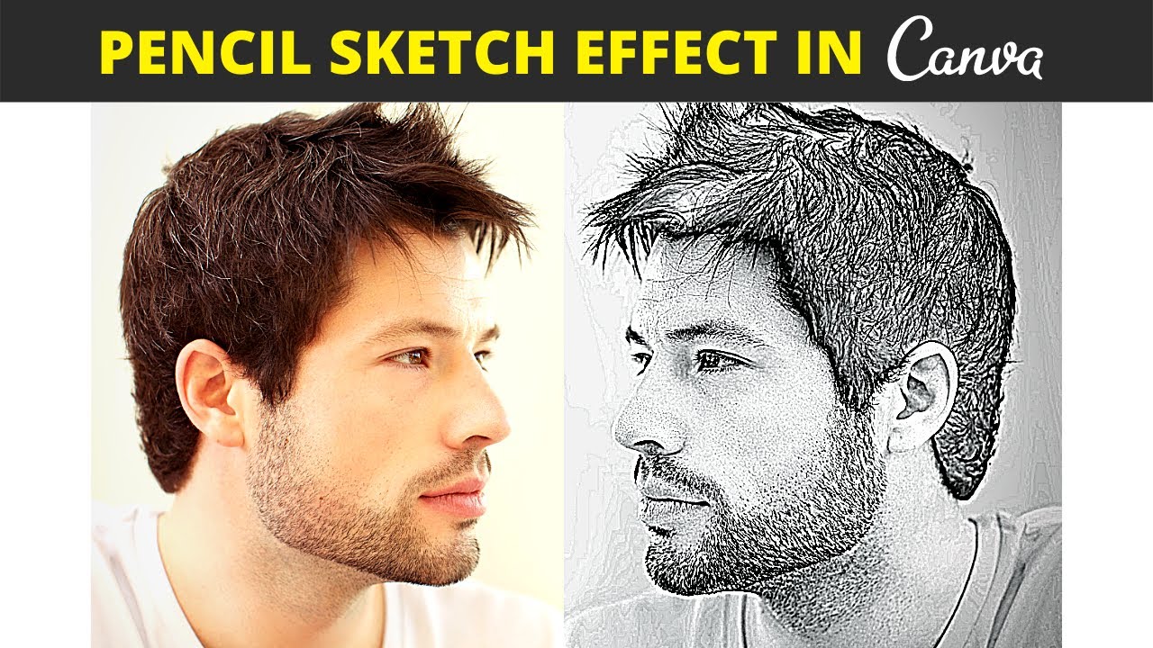 Photo to Sketch  Free Image to Sketch Converter Online  Mediaio