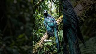 Did Dinosaurs Change Colour Like a Chameleon?