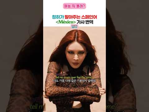청하랑 멕시코로 떠나자~ 청하 신곡 멕시코 가사 번역 thumbnail
