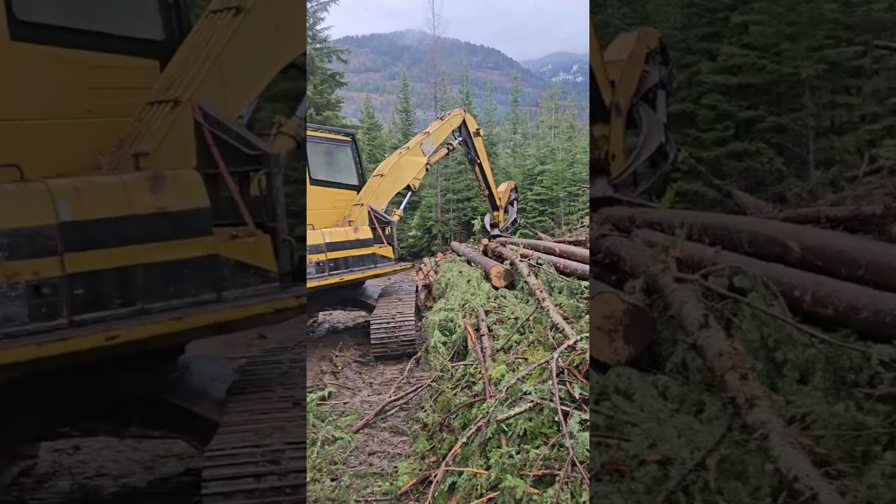 Вчера в северном Айдахо было слишком сыро для лесозаготовок.