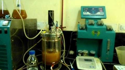 continuous fermentation