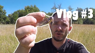 Vlog 3, Capture de sauterelle en nature