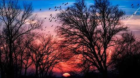 ﴿فكيف تتقون إن كفرتم يوما يجعل الولدان شيبا﴾ تلاوة تخشع لها القلوب لسورة المزمل للقارئ معاذ المنصري🌺