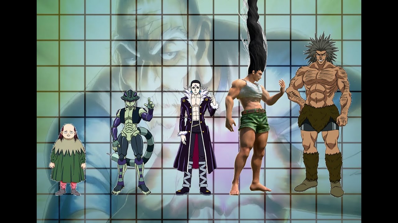 Hunter X Hunter Characters Heights Ranking 