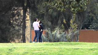 #8515, Pareja se abarza y sonríen [Raw], Parques y personas