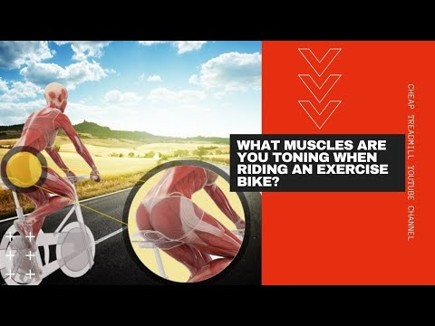 فيديو: ما هي مجموعات العضلات التي تطورها الدراجة؟