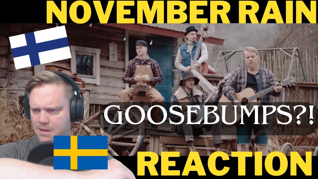 A Swede reacts to: STEVE´N´SEAGULLS - NOVEMBER RAIN