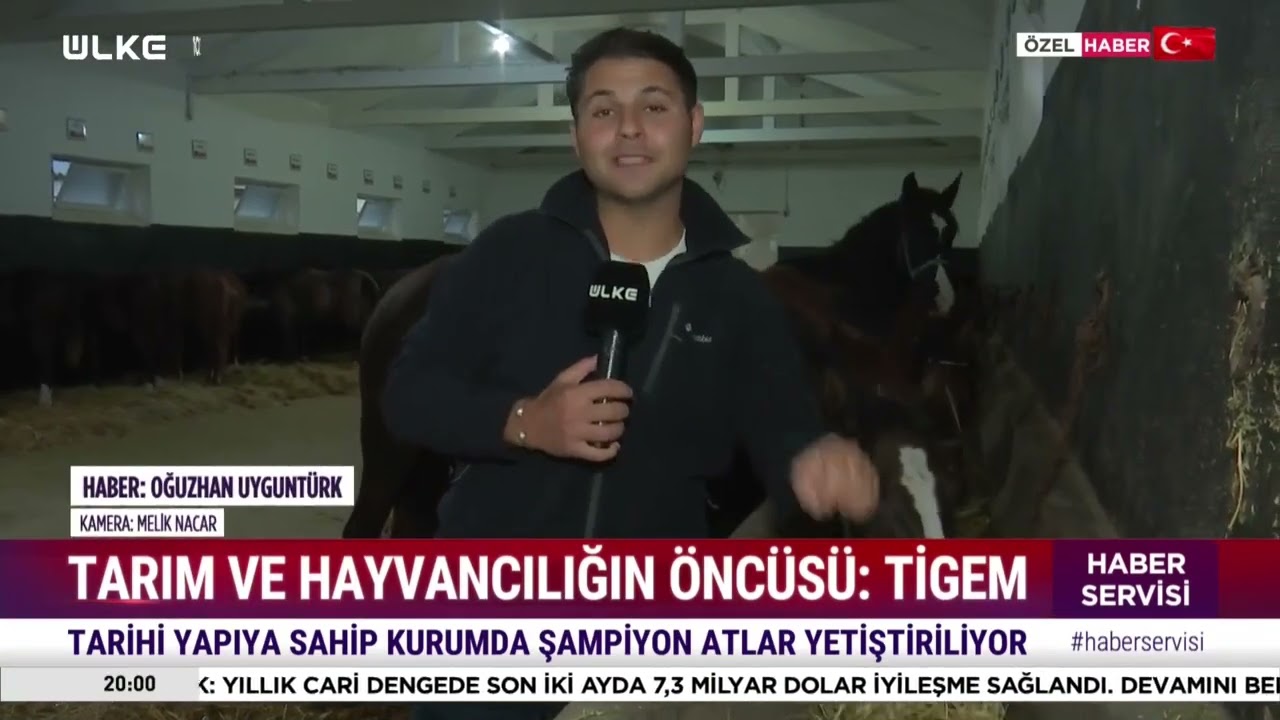 TİGEM Karacabey’de yarış atları nasıl yetiştiriliyor.🏇