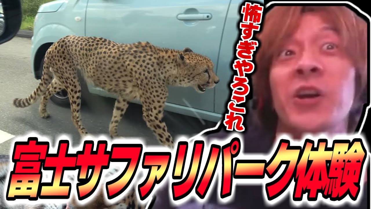 おえちゃんと見る富士サファリパーク＆ハイエナの生態【2025/03/20】