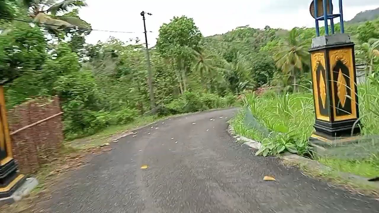 Exploring Nature’s Beauty: An Unforgettable Journey