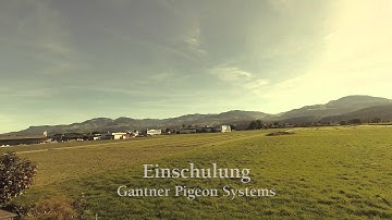 DUALWERK - Praktikum