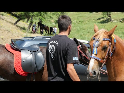 Με μεγάλη επιτυχία η Πανελλήνια Συγκέντρωση Καβαλάρηδων και Φίλων Αλόγου στη Σαμαρίνα