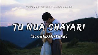 Tu Nua Shayari ( slowed&reverb ) | Swayam Padhi & Sohini Mishra | Odia Lofi song | Odia.lofiverse screenshot 1