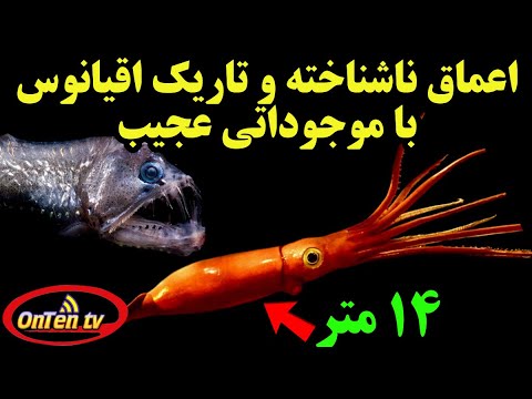 بشرهنوز 95 اعماق اقیانوسها را نمیشناسد دنیایی تاریک و مرموز با موجوداتی عجیب