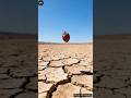 The Brave Goat 🐐 Saved a Dying Plant and Changed Everything 🌱 #ai #shorts #trending