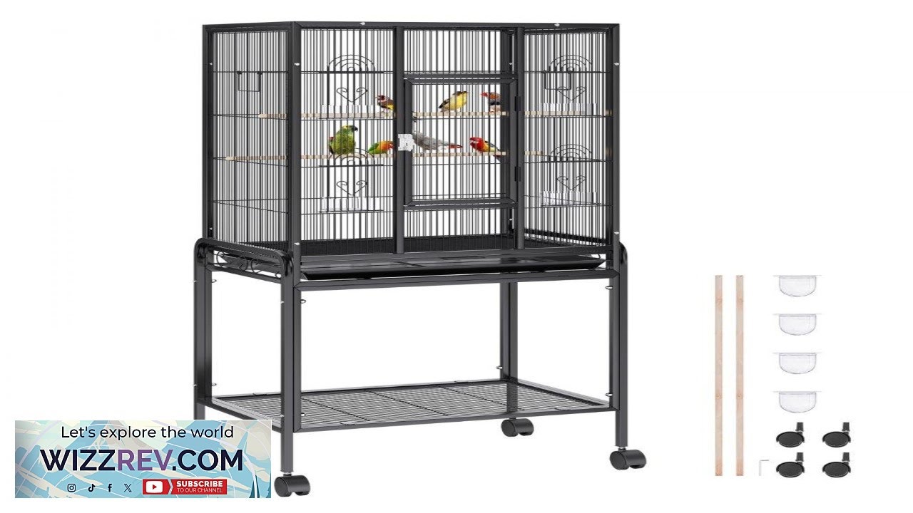 VEVOR 54 inch Standing Large Bird Cage Carbon Steel Flight Bird Cage