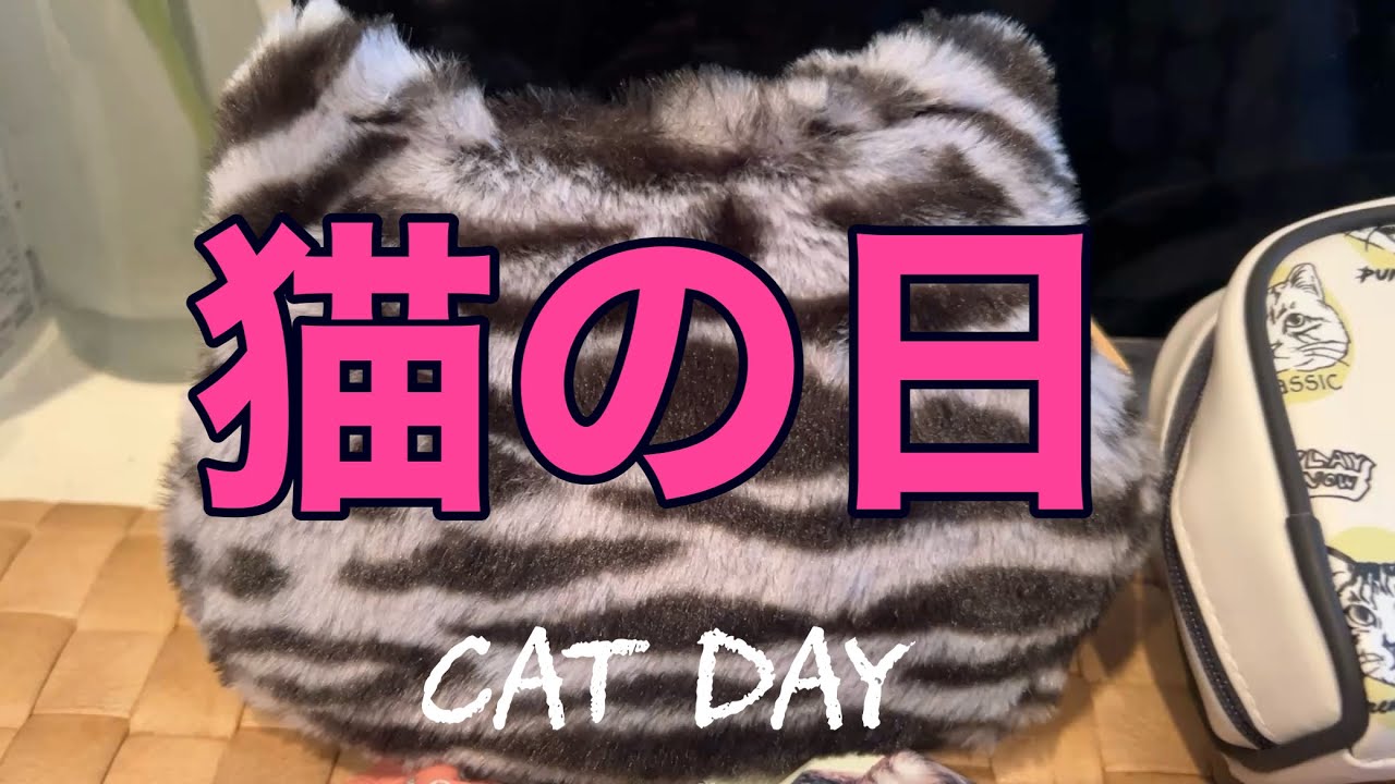 Vlog / 猫の日に浅草を散策🌸河津桜とねこグッズ