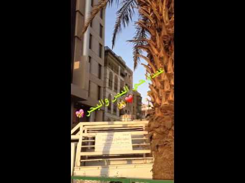 عمر دودة عمدة حي البحر