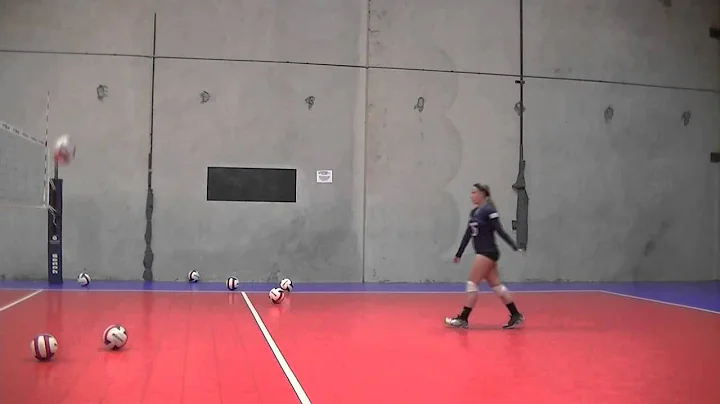 Lexi Michaelsen   Libero Class of 2016