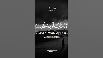 قِيلَ ادخُلِ الجَنَّة || طارق محمد || من سورة يَسِ
