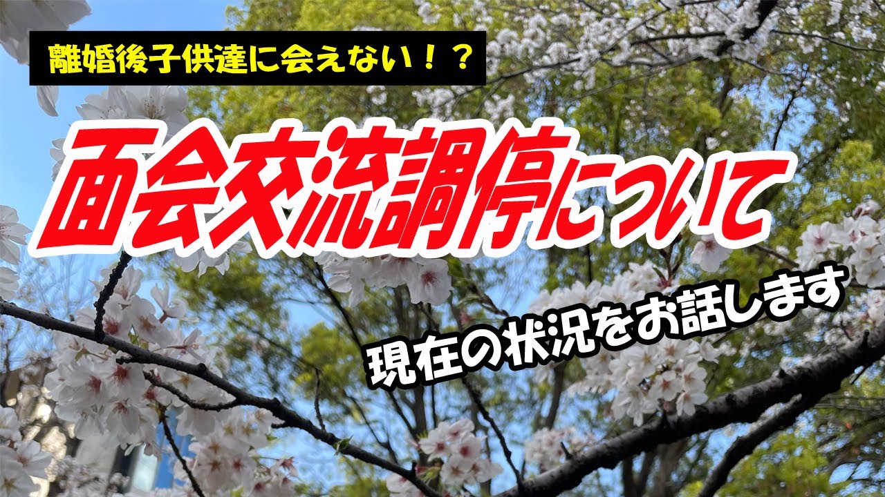 【連れ去り離婚】面会交流調停について、離婚後子供達に会えない⁉現在の状況など