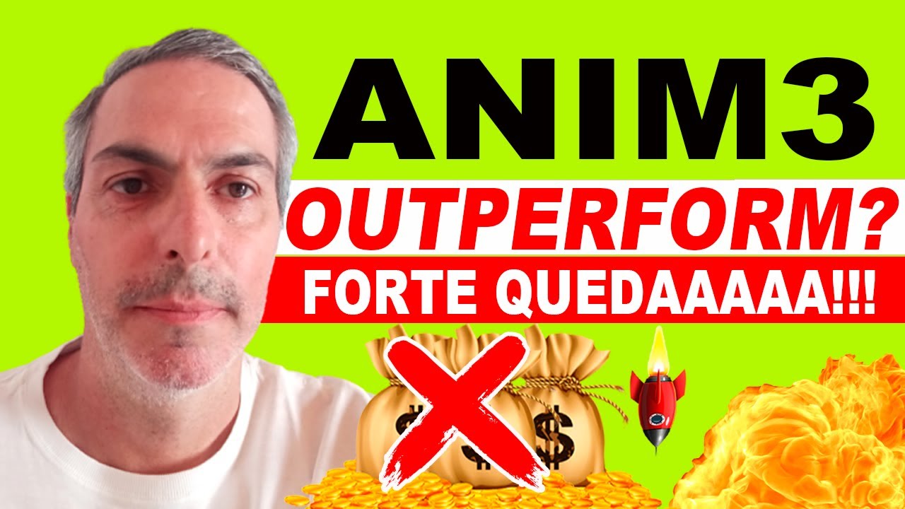 ANIM3 FORTE CORREÇÃO ATENÇÃO AO MERCADO FINANCEIRO E SEUS INVESTIMENTOS ...