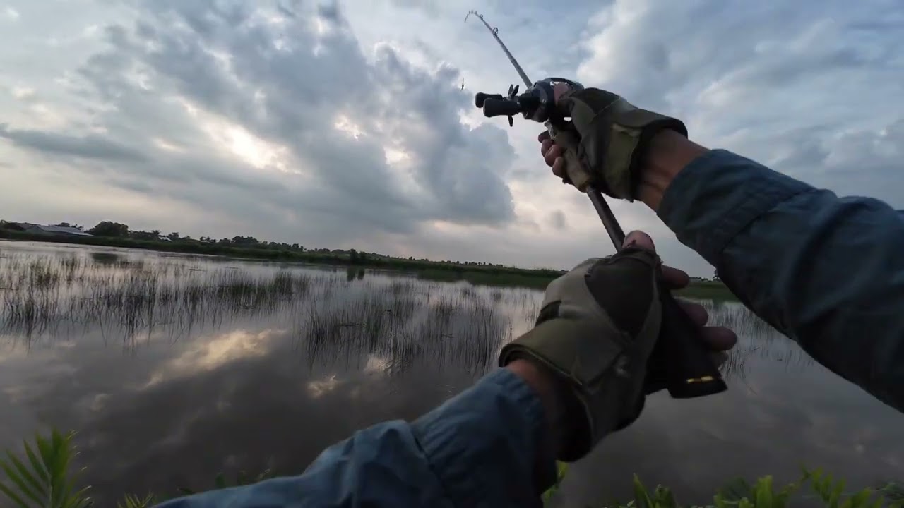 Câu cá chiều muộn ở ruộng xã U Minh 