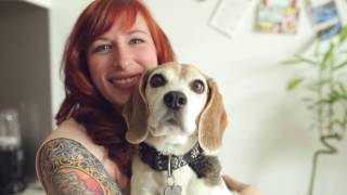 Make positive change in the lives of animals