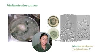 Identificación presuntiva de microorganismos