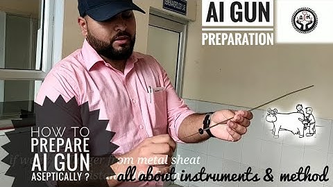 AI GUN LOADING | HOW TO LOAD AN AI GUN ASEPTICALLY | PHOOFOLO