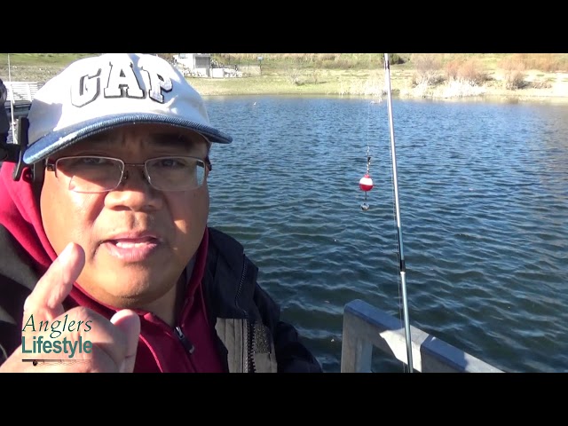 Bait fishing with bobbers - Float fishing - how to catch fish with