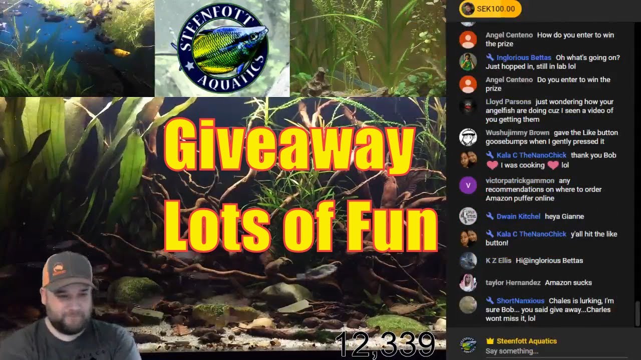 cichlid aquarium plants Aquarium Livestream - AquariumCoop SergeantTank Priscilla Giveaway
