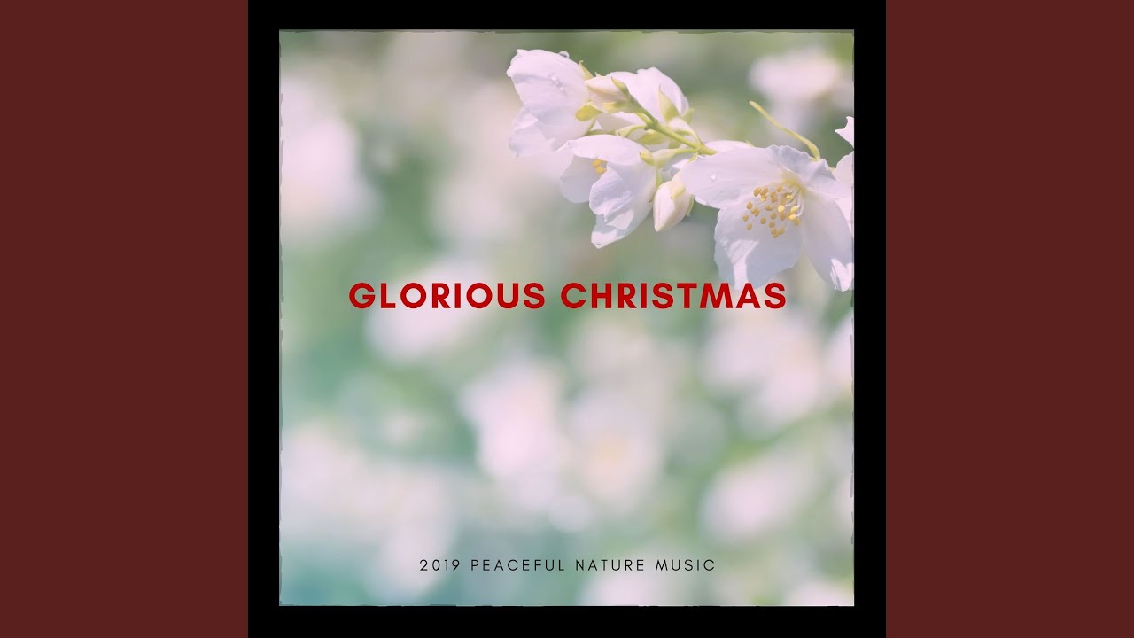 Nature Weavers YouTube