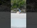sand pyramid! #shorts