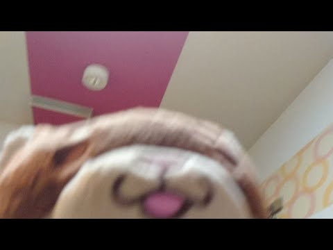 ちびにゃんライブ第2弾