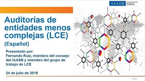 Audits of Less Complex Entities Webinar (Spanish)