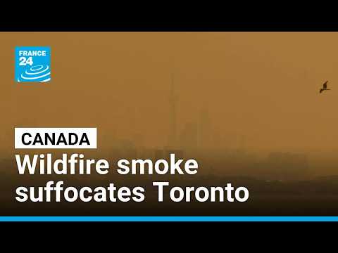 Toronto suffocates as wildfire smoke chokes city • FRANCE 24 English