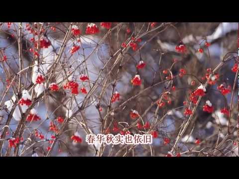 常相守（独唱）