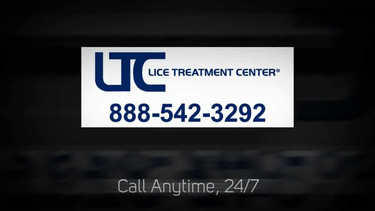 Lice in Connecticut Lice Treatment Center ® YouTube