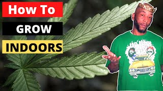 How To Grow Weed Indoors: Day 8 of flower/ Day 17 of veg